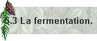 5.3 La fermentation.