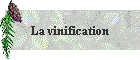 La vinification