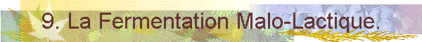 9. La Fermentation Malo-Lactique.