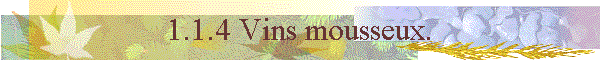 1.1.4 Vins mousseux.