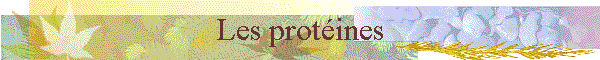 Les protines