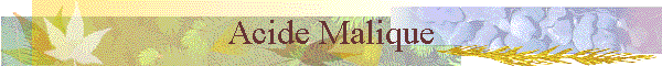Acide Malique
