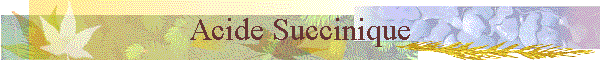 Acide Succinique