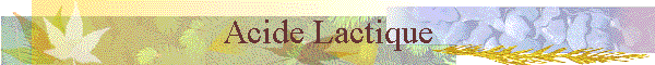 Acide Lactique
