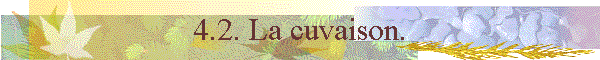 4.2. La cuvaison.