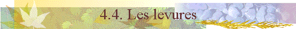 4.4. Les levures
