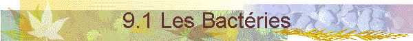 9.1 Les Bactries