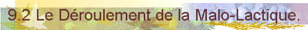 9.2 Le Droulement de la Malo-Lactique.