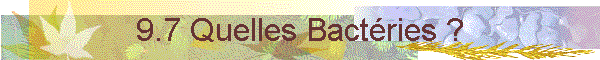 9.7 Quelles Bactries ?