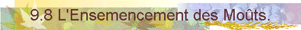 9.8 L'Ensemencement des Mots.