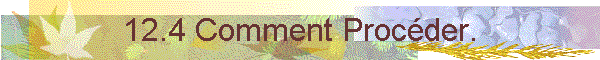12.4 Comment Procder.