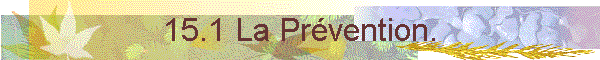 15.1 La Prvention.