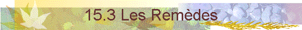 15.3 Les Remdes
