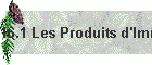 16.1 Les Produits d'Immobilisation.